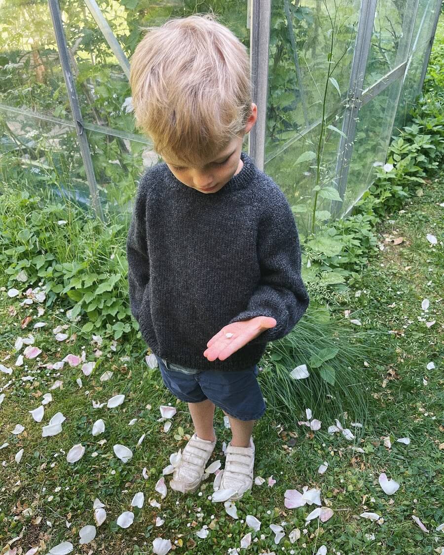 Hanstholm Sweater Junior - Petite Knit Strikkeopskrifter